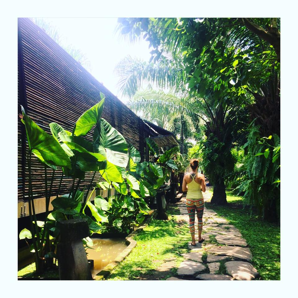 15027929_1367270586630076_8294916636917234111_n